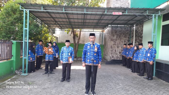 WhatsApp Image 2024-11-25 at 11.23.39 (2)